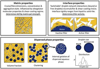 Water-in-Oleogel Emulsions—From Structure Design to Functionality
